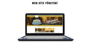 web sitesi yönetimi